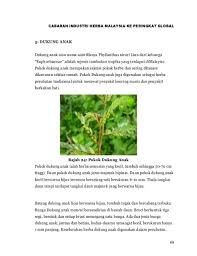 Pokok kelek anak, bhuaionla, kiranelligida. Pokok Dukung Anak Herbal Dengan Pasu Shopee Malaysia
