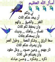 Pin By Inas Gadalla On أجيب دعوة الداعي Islamic Love Quotes Beautiful Morning Messages Beautiful Islamic Quotes