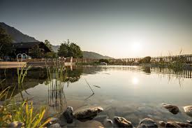 Pin Von Freiraum Naturlich Die Schonst Auf Swimming Pond Schwimmteich Teich Natur Pool