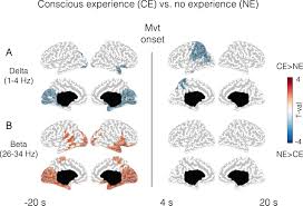 Image result for Paraknoxia