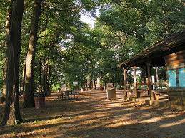Shelter At Illini Grove Park Uiuc Grove Park Urbana Champaign Urbana