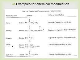 Generally these modifications are with the most reactive side chains and are predominantly oxidations, reductions, and nucleophilic and electrophilic substitutions. Functional Properties Of Proteins Ppt Download