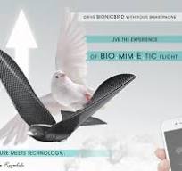 MetaBird by BionicBird - oiseau drone High tech biomimétique contrôlé par  Smartphone