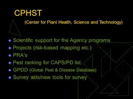 Pest Detection And Caps Coanne E Ohern National Survey