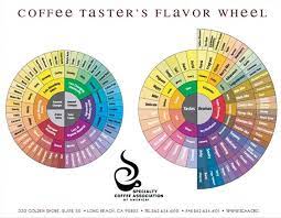 Using The Flavor Profile To Describe Coffee A E Coffee And Tea