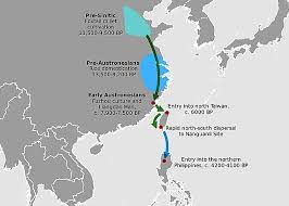 Image result for Austrosynotis