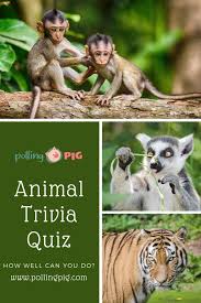 According to sleep advisor, snails like to hibernate and. Some Animal Facts Are So Strange That They Almost Don T Sound True For Instance Did You Know That Pigeo Animal Quiz Weird Animal Facts This Or That Questions
