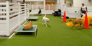 Having your dog stay in the kennel over the night would cost about $29 to $80. The Growing Demand For Pet Boarding Services An Overview Best Pets Inc