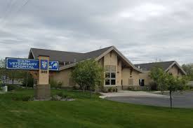 The animal clinic of billings is a small animal veterinary hospital centrally located just north of grand avenue at 1414 10th street west. Billings Montana Veterinarian Skyview Veterinary Hospital