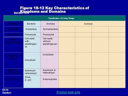 Review The Characteristics Of Living Things Ppt Video Online Download