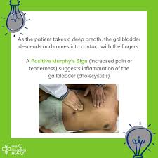 Image result for Murphy Sign