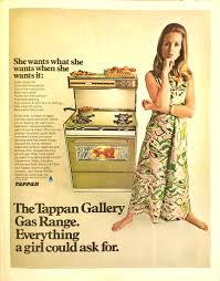 Image result for Coppertone 1964 Tappan