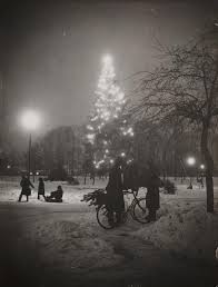 Undr Edward G Malindine Christmas Tree Denmark In Welwyn Garden City Hertfordshire 1938 Photo Black And White Photo Wall Welwyn