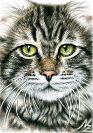 Widest selection of new & used books. 26 Stunning Drawings Of Animals Made From Pencil And Paper