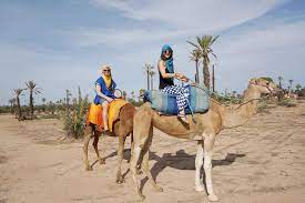Adventure, camel riding tour, sand sport. Marrakech Camel Ride 2021