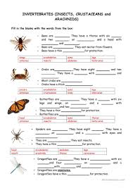 Start studying introduction to invertebrates. English Esl Vertebrate Worksheets Most Downloaded 12 Results