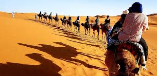 The best of morocco tours / explore our authentic morocco trips. Home Atlas Mountain Trekking Sahara Desert Tours Camel Trekking