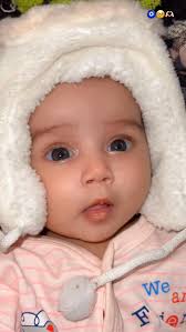 Build Your Dream Project: Tips for a Successful Start