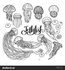 Jellyfish Drawn In Line Art Style Vector Ocean Animals In Black And White Colors Coloring Book Page Design F Jellyfish Drawing Photo To Line Drawing Line Art