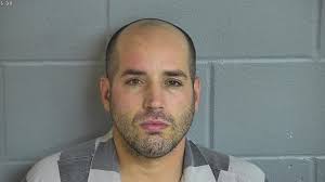 Convicted felon and sexual offender arrested after fleeing from deputies