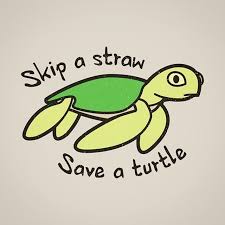 No Photo Description Available Regram Via Bu Senqhylh Turtle Wallpaper Turtle Images Turtle Painting