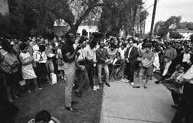 Educating the Establishment