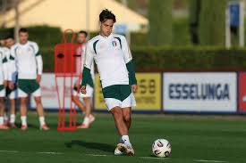 Trend Google: italia calcio