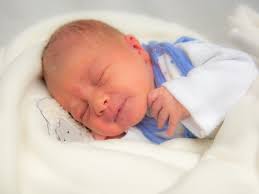 Babygalerie für Erfurt und Umgebung 2022