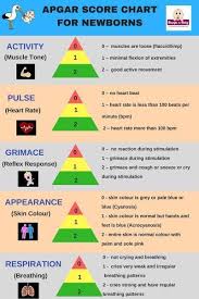 apgar score chart apgar score nursing school notes