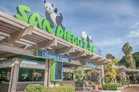 What You Need To Know About San Diego Zoo Tickets Zoo Tickets San Diego Zoo Balboa Park San Diego