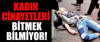 Kadın cinayetleri verileriyle ilgili olarak aile ve sosyal politikalar bakanlığı, adalet bakanlığı, emniyet genel müdürlüğü ve jandarma genel komutanlığı'na yapılan bilgi edinme başvurularının sonuçsuz. Kadin Cinayetleri Bitmek Bilmiyor