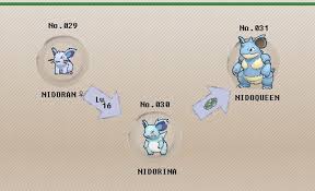What level should you evolve Nidorina? - Quora