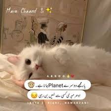 You can also find multiple synonyms or similar words of slub. Dua Fahad Daniraza2022 Profile Pinterest