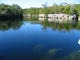 Attractions like john pennekamp coral reef state park, key largo hammocks state botanical site, and marinelab undersea laboratory are fun for kids of all ages. Dagny Johnson Key Largo Hammock Botanical State Park 037