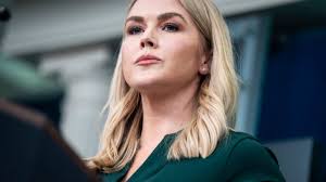 Young Explorers Plan Cross-Country Trip In An Ice Cream Truck To Inspire  Conservation