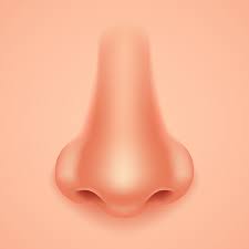 Cartoon man wearing a mask under his nose #1724448 by toonaday. Human Nose Realistic Background Isolated Design Vector Illustration Royalty Free Cliparts Vectors And Stock Illustration Image 61098310