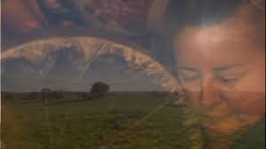 Bean Feasa My Bones Anne Marie Hynes