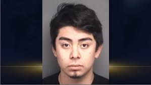 Greenville teen charged for stealing shotgun