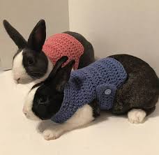 Pin On Rabbits