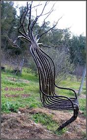 Tree Grown And Shaped Like A Chair Garden Chairs Backyard Trees Tree Chair