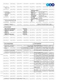 This is a document that comes from financial institutions, and it's connected to your account. Fake Bank Statement Samples Online Statements Templates