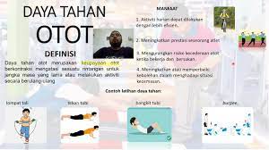 Halaju tinggi, latihan bebanan dengan pergerakan. Pjpk Tingkatan 2 Daya Tahan Otot Youtube