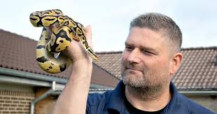 Flygtet kvælerslange var døden nær