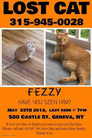 Focus your efforts on a thorough search spreading if you conduct an extensive search immediately, there's a good chance you'll find the cat near to where twitter and facebook can be used to spread the word among your network of friends. Finger Lakes Cats Lost And Found Facebook
