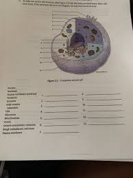 Maybe you would like to learn more about one of these? A To Help You Review Cell Structure Label Figure 22 Chegg Com
