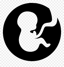 Download Birth Svg Png Icon Free Download Baby In Womb Transparent Background Clipart 5396615 Pinclipart