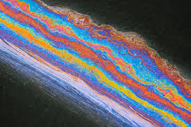 Daniel Morrill Obituary (2008)