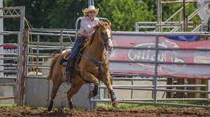 Youtube is one of the best sources where you can find. The Best Way To Begin Barrel Racing Barrel Horse News