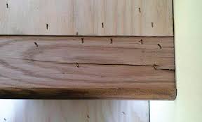 10 best stair tread reviews. Stair Treads Dos Don Ts Wood Floor Business Magazine