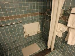 Roll In Shower In Accessible Cabin Cabin Cruise Ship Lower